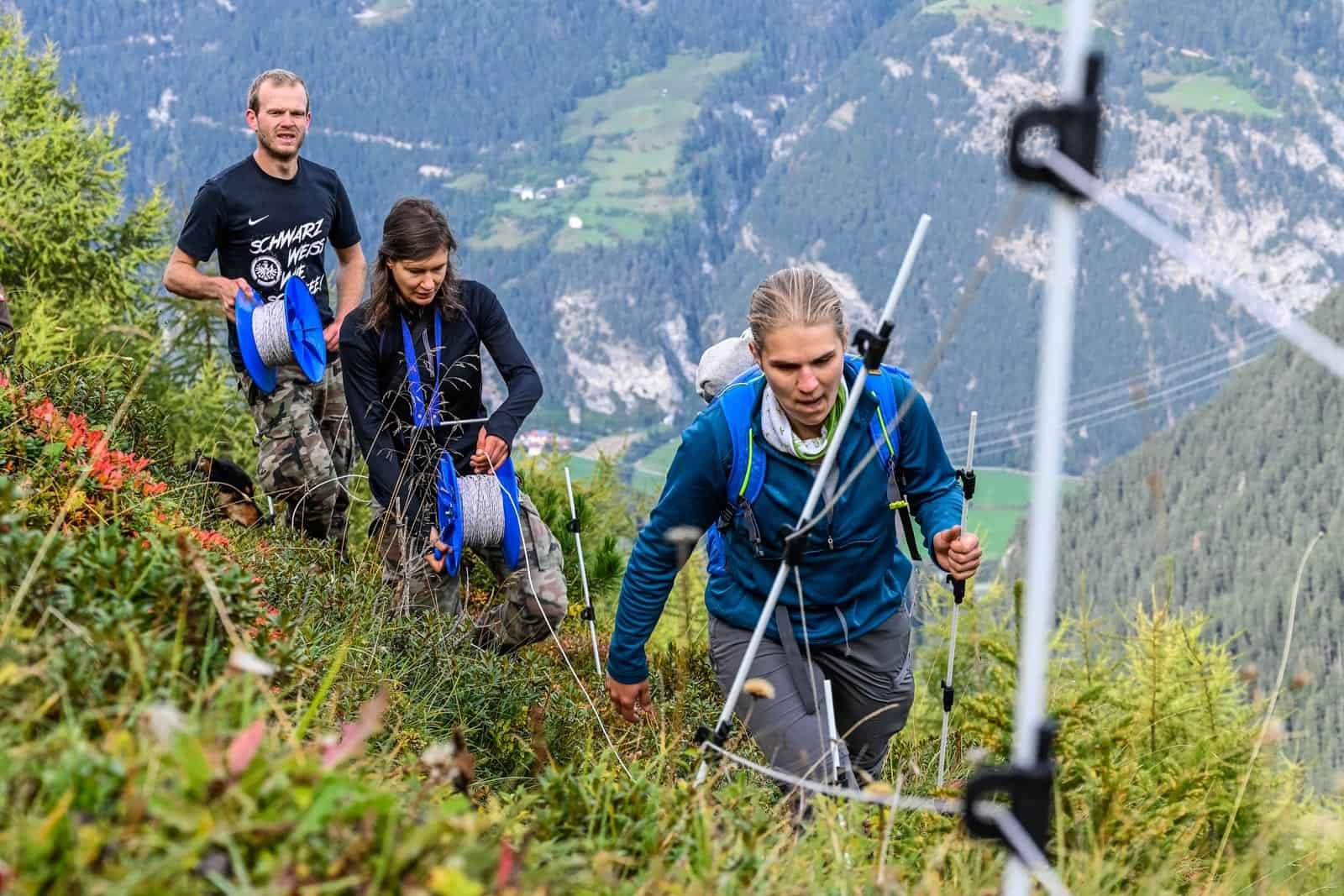 LIFEstockProtect by European Wilderness Society