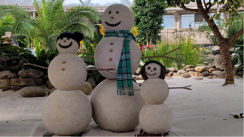 Epcot Festival Of The Holidays 