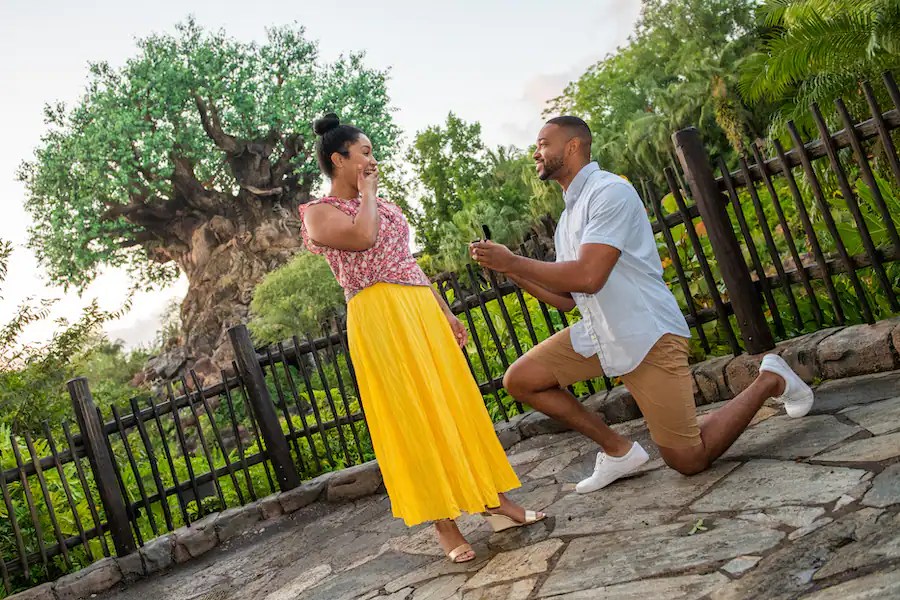 Top 5 Tips For Your Capture Your Moment Session At Walt Disney World! 2 Capture Your Moment Session