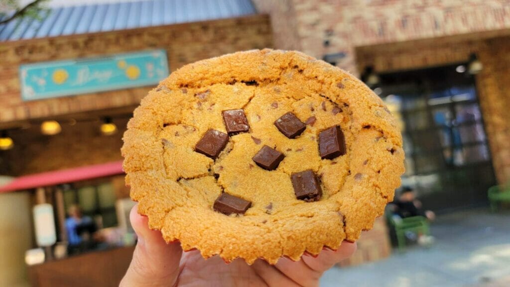 New Characters, Foods, and More at Disney’s Hollywood Studios 6 IMG 4745