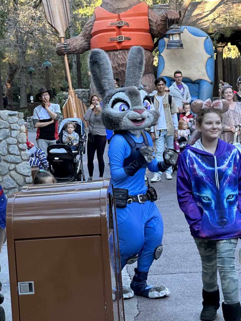 10 Reasons Disneyland is the Top Choice for Families 4 IMG 1229