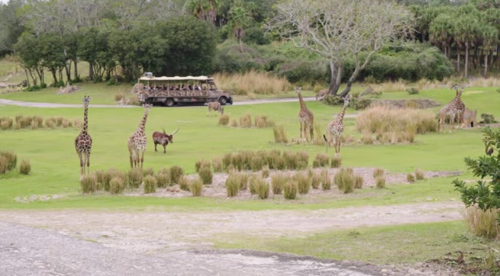 Wild Africa Trek