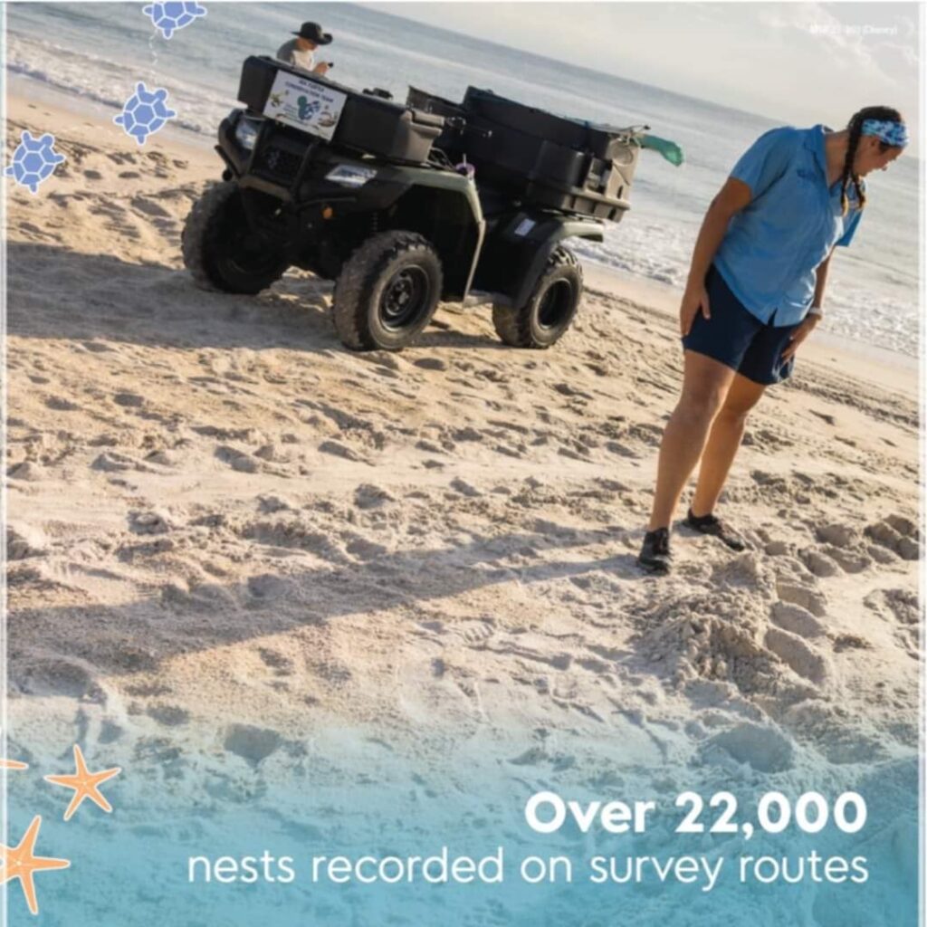 Sea Turtle Conservation