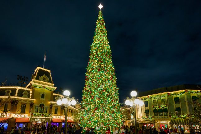 christmas tree