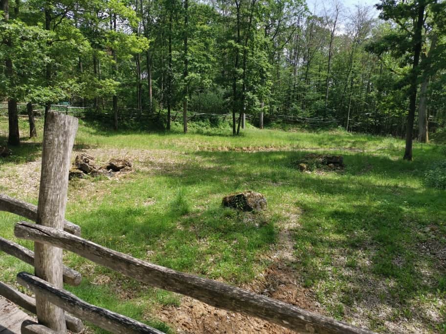 Wildpark Bad Mergentheim