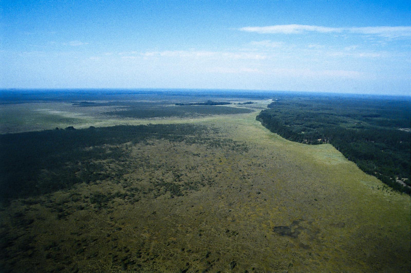 Cepkeliai Wilderness - 00001.jpg - European Wilderness Society - CC NonCommercial-NoDerivates 4.0 International