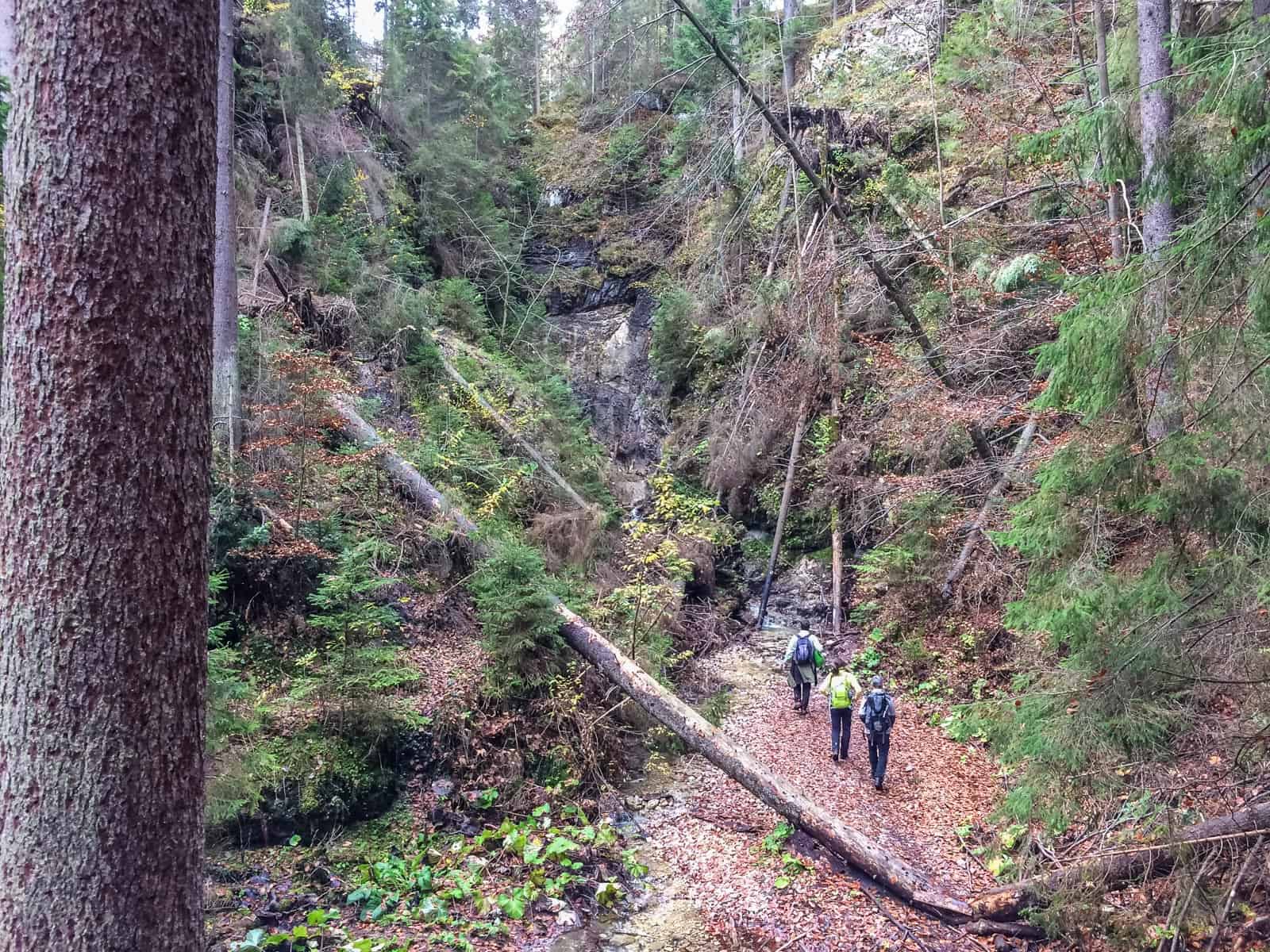 Tourism Slovenský raj National Park - 0283.jpg - European Wilderness Society - CC NonCommercial-NoDerivates 4.0 International