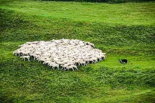 EWS - Fotolia -04737_