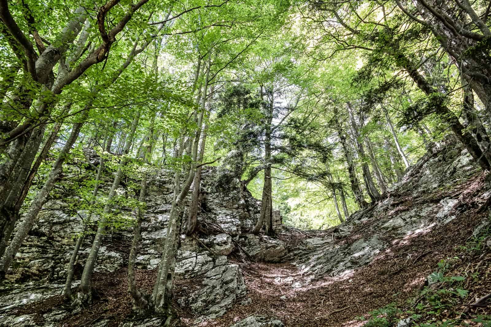 Kalkalpen Wilderness 178.jpg - © European Wilderness Society CC BY-NC-ND 4.0