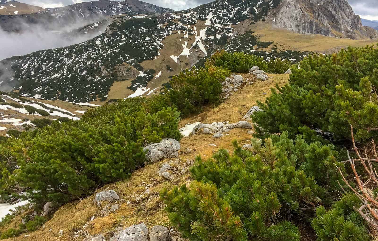 Retezat National Park 0152.jpg - © European Wilderness Society CC BY-NC-ND 4.0