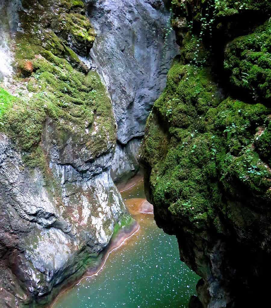 Kure-Daglari Wilderness-25978.jpg - European Wilderness Society  - CC NonCommercial-NoDerivates 4.0 International