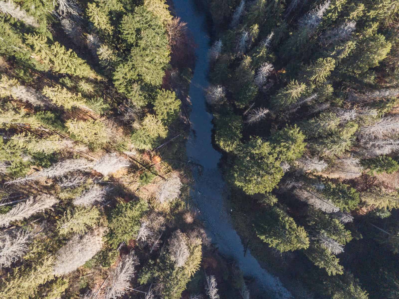 CEW Cleaning up Slovenysky Raj-30349.DNG - European Wilderness Society  - CC NonCommercial-NoDerivates 4.0 International