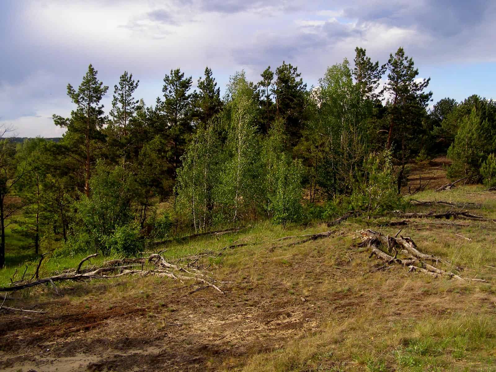 Bondarivske_Wetland -30684.JPG Andriy Sahayday 2019   - © All rights reserved