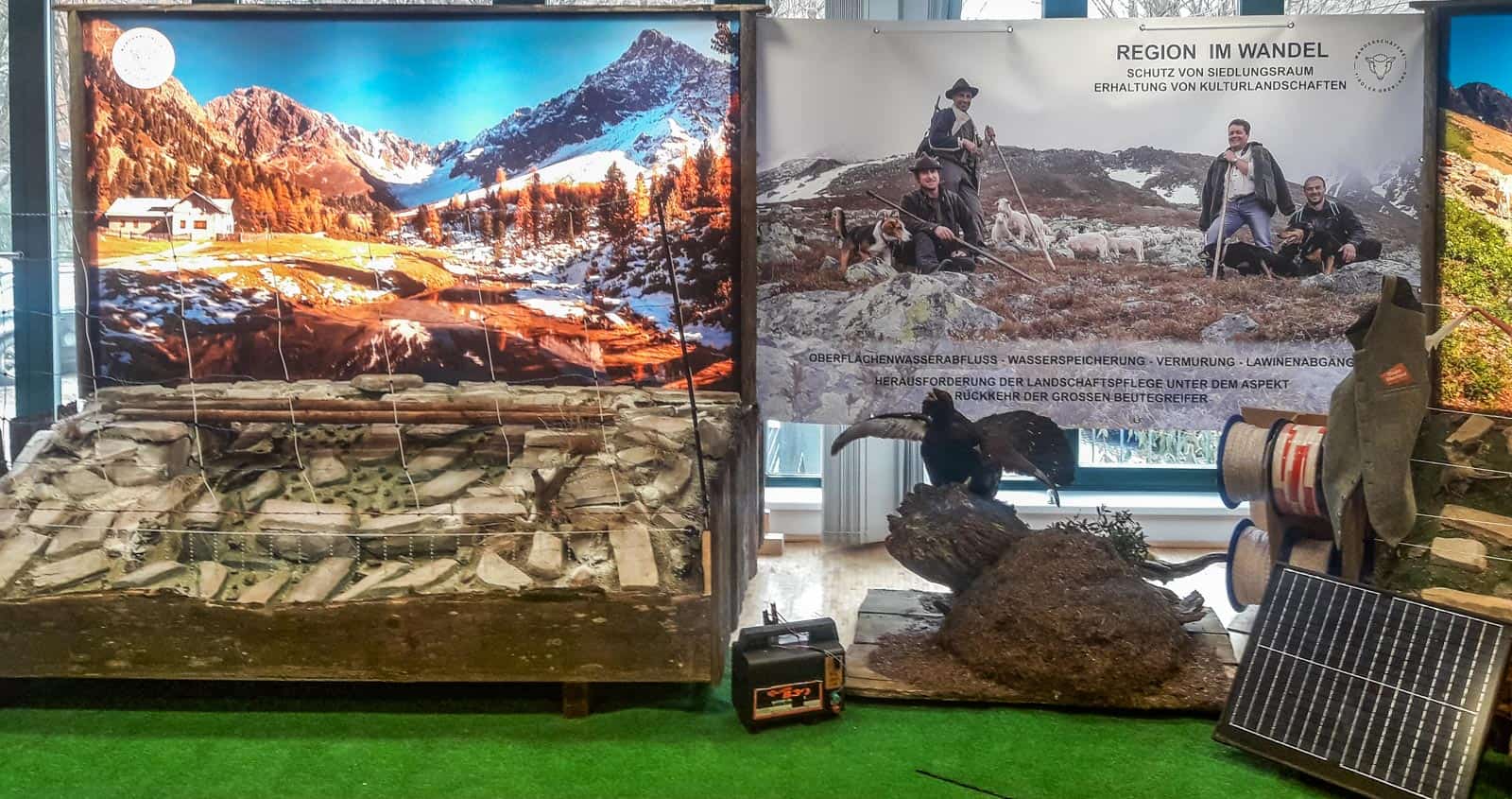 LIFEstockProtect _ 30901.jpeg - © European Wilderness Society CC BY-NC-ND 4.0