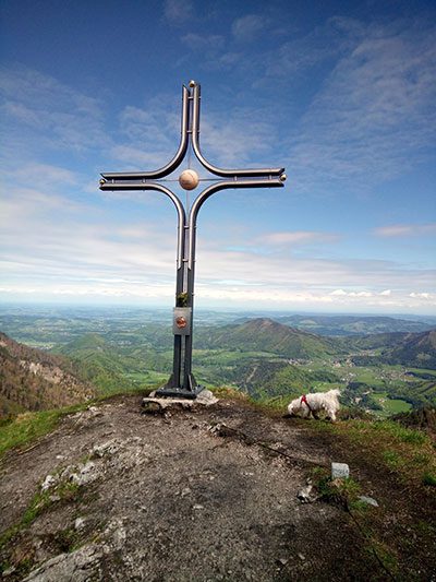 Ronja Berg-Hund am Wieserhörndl Gipfelkreuz in der Fuschlseeregion, Salzkammergut