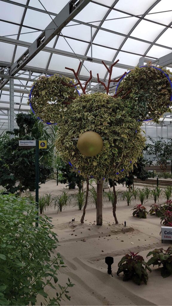 Epcot Festival Of The Holidays 