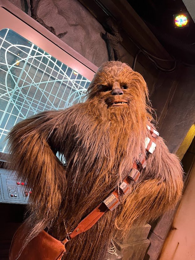 Money and Time-Saving Hacks to Galaxy's Edge 14 IMG 2165