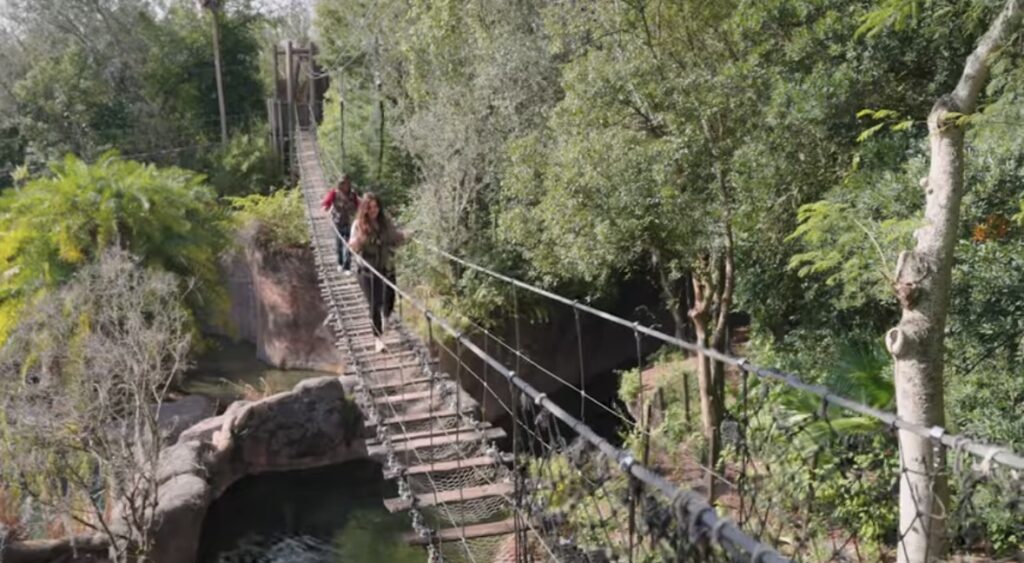 Wild Africa Trek