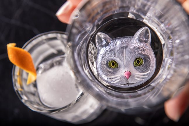 cat drink