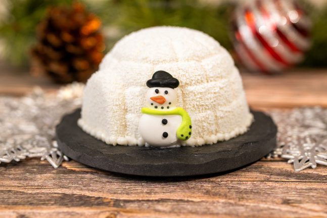 A Magical Christmas at Walt Disney World: Your Complete Guide 17 food