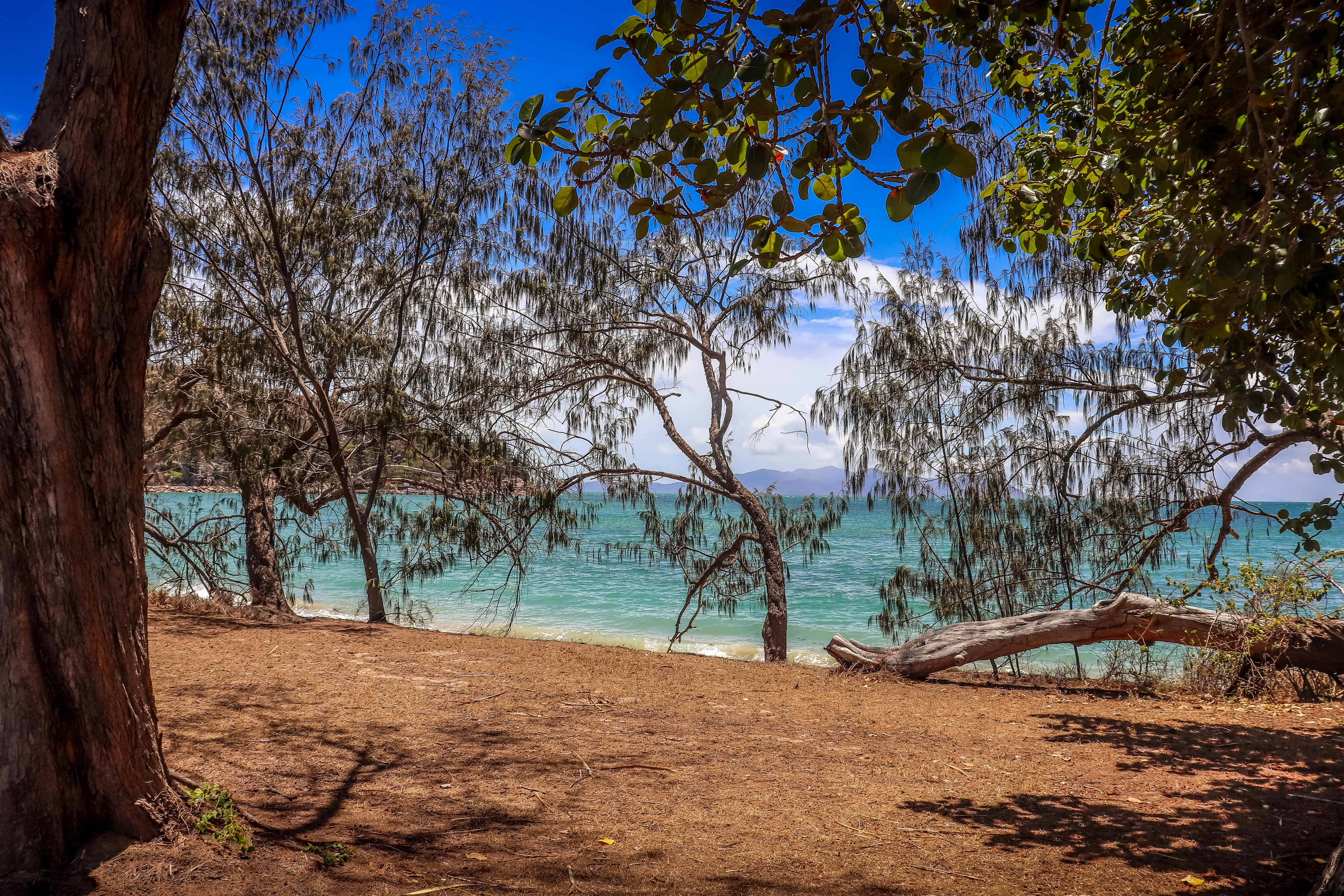 Roadtrip en Australie de Cairns à Brisbane en 10 jours en van