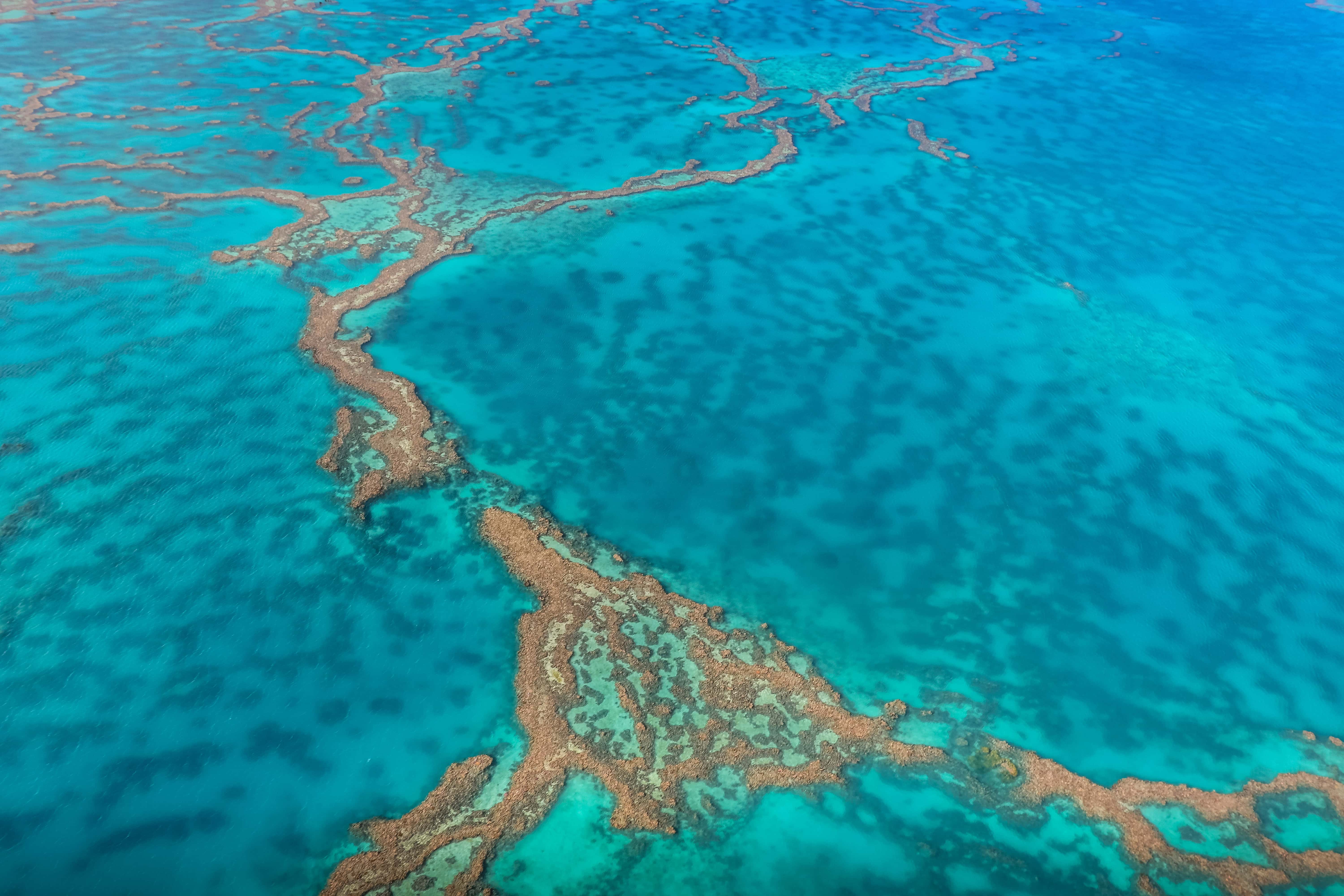 Roadtrip en Australie de Cairns à Brisbane en 10 jours en van