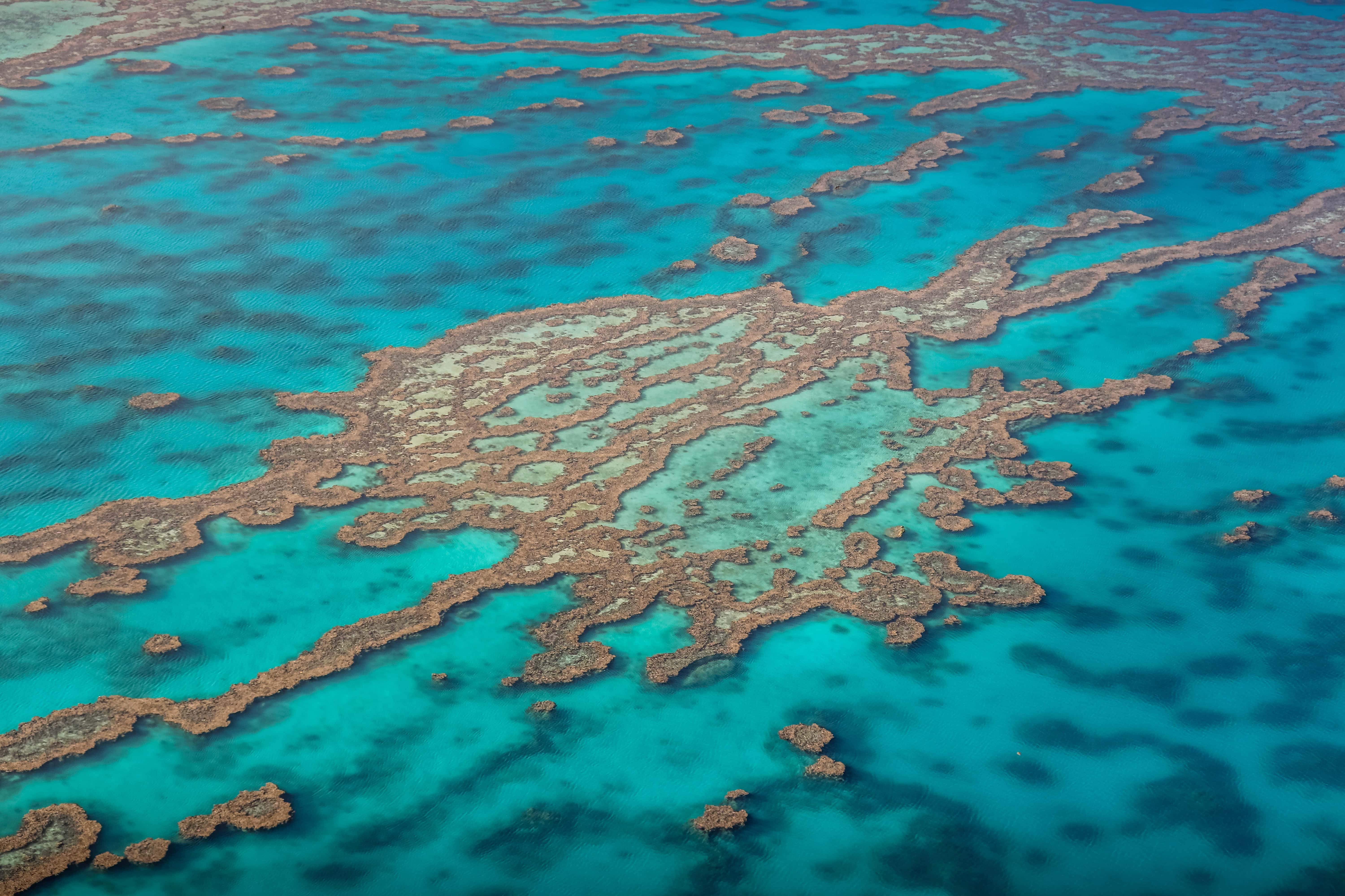 Roadtrip en Australie de Cairns à Brisbane en 10 jours en van