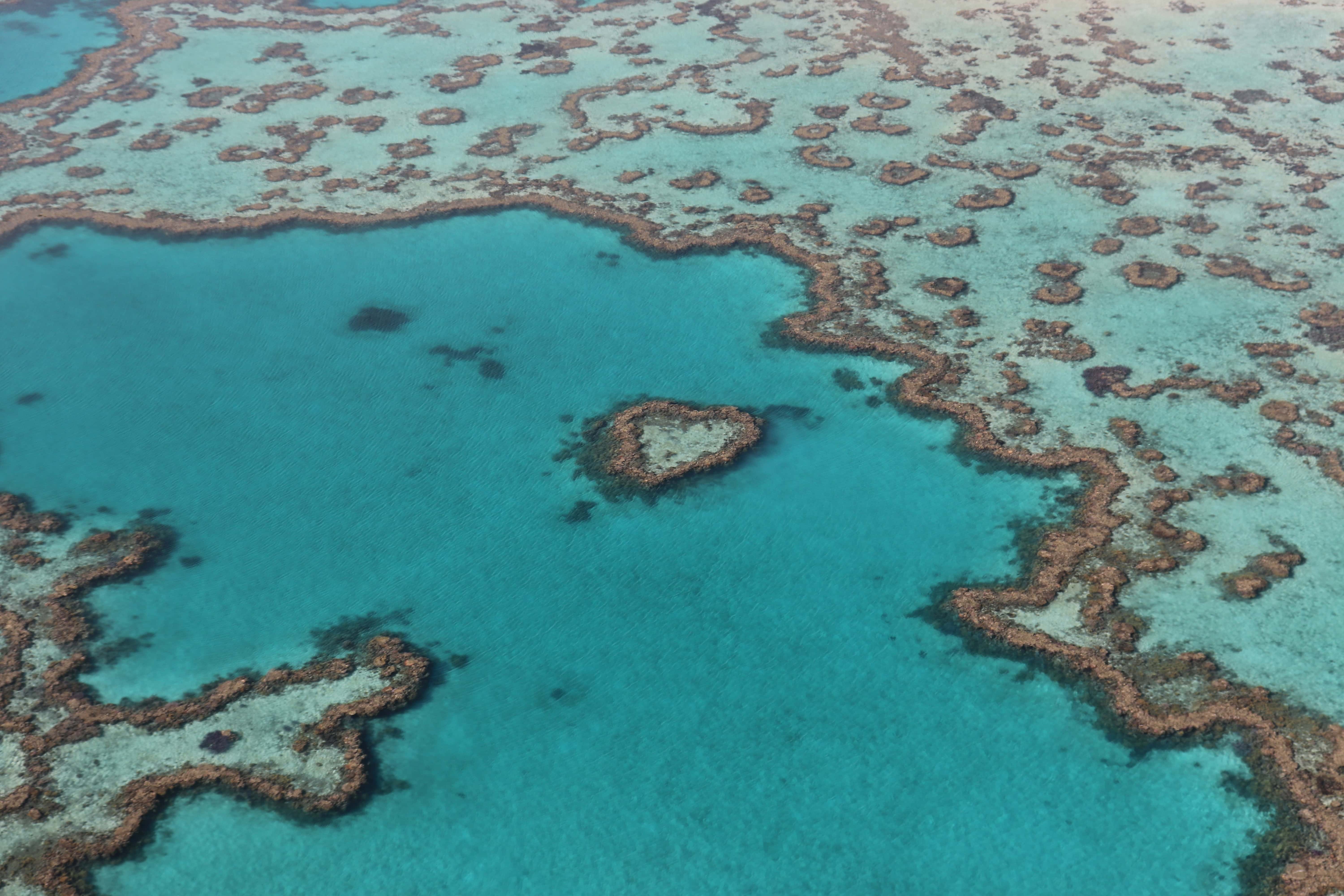 Roadtrip en Australie de Cairns à Brisbane en 10 jours en van