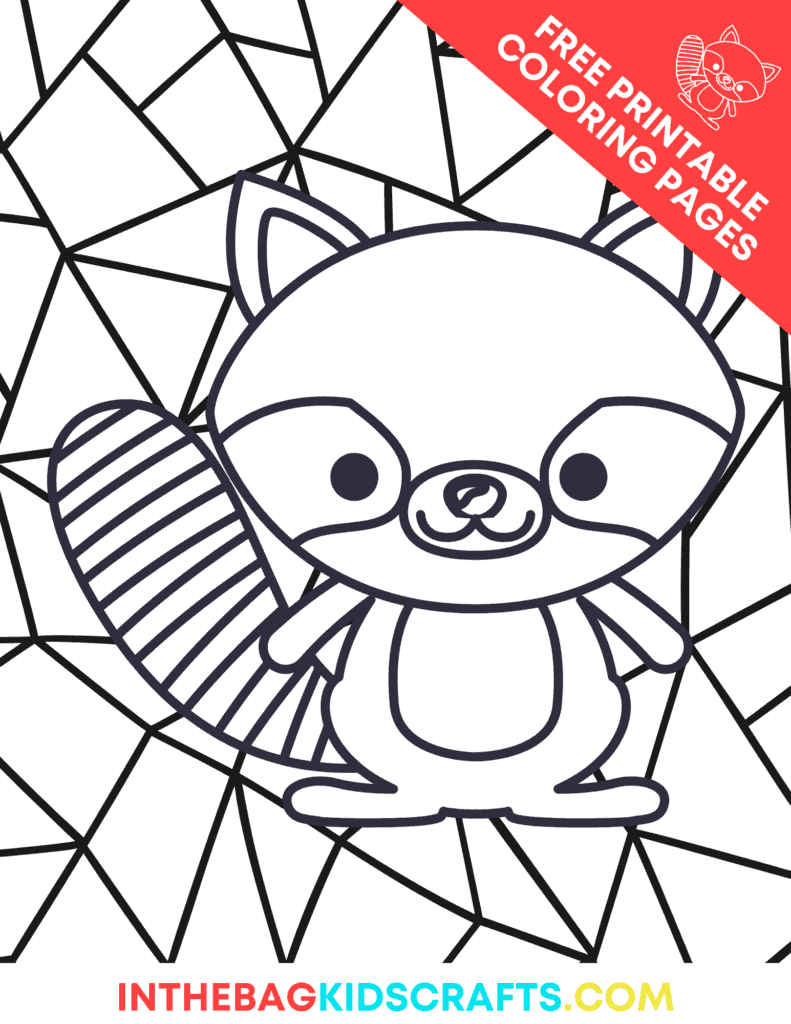 raccoon coloring page for kids