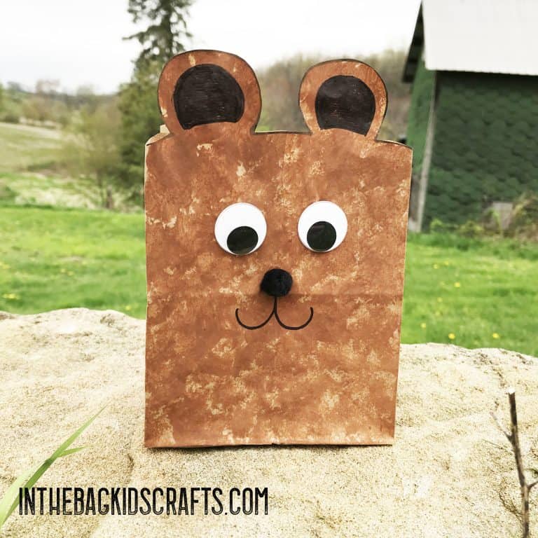 teddy bear gift bag