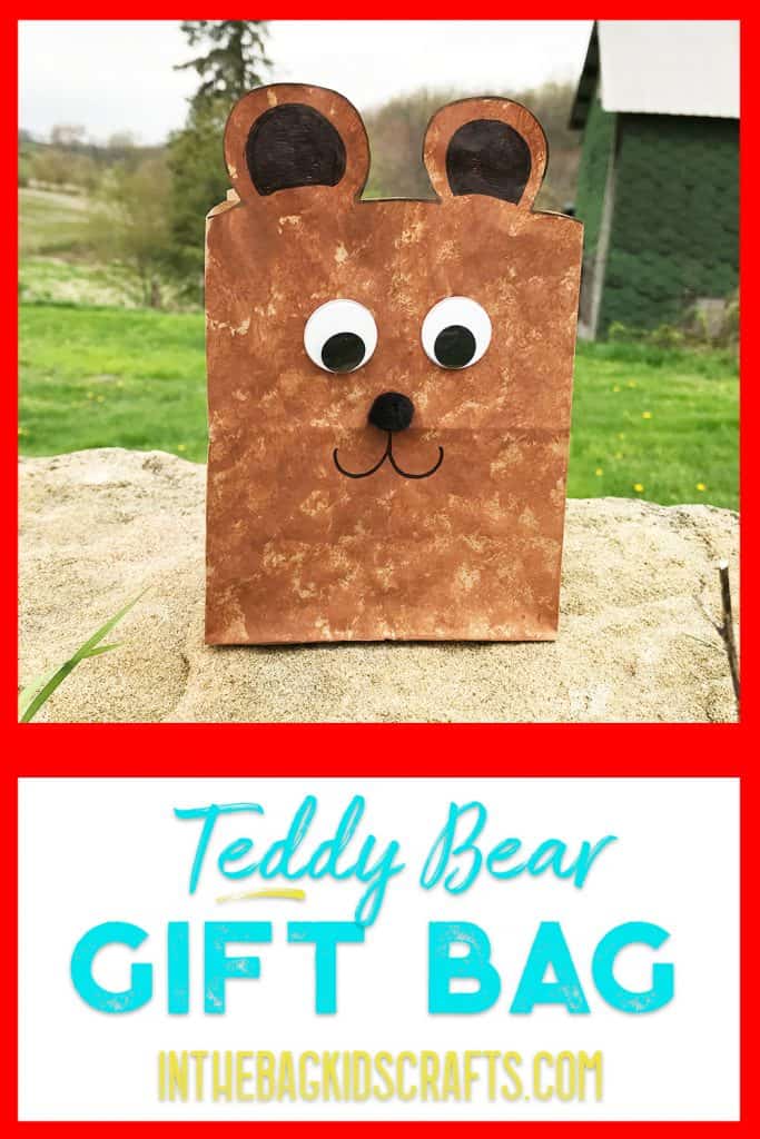 teddy bear gift bag