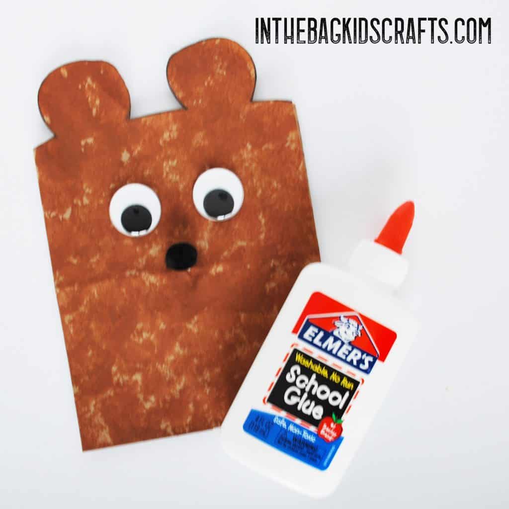 teddy bear gift bag