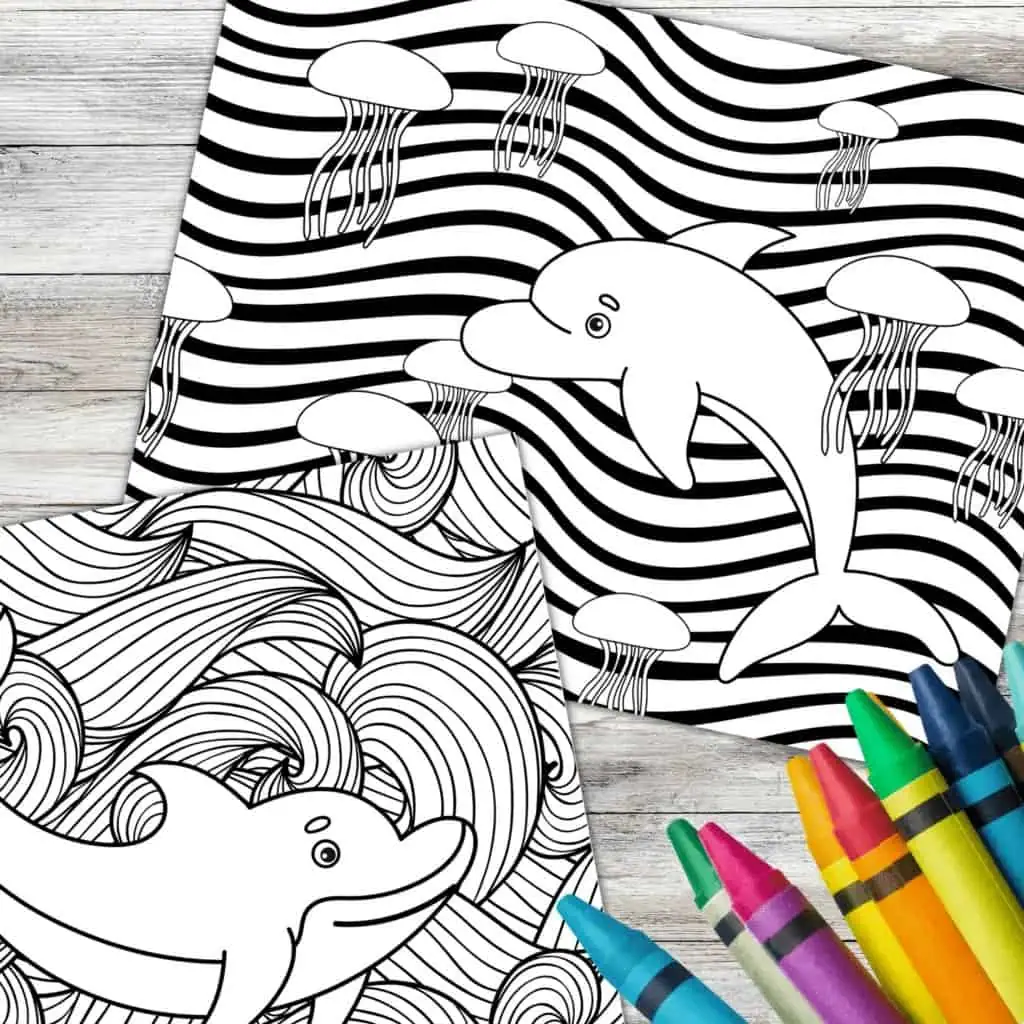 DOLPHIN COLORING PAGES