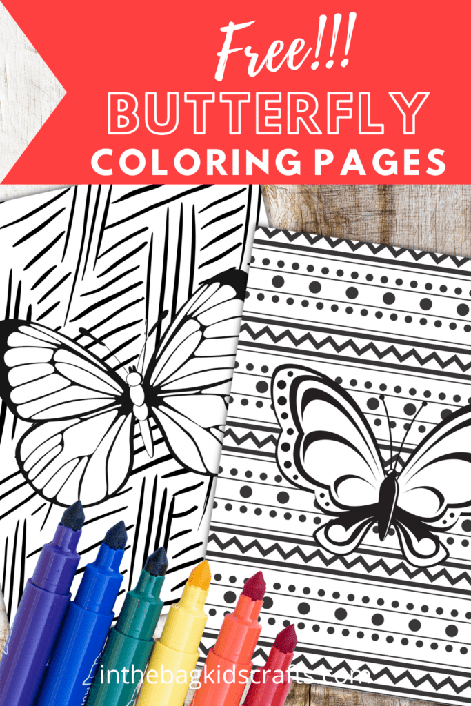 FREE COLORING PAGES BUTTERFLY