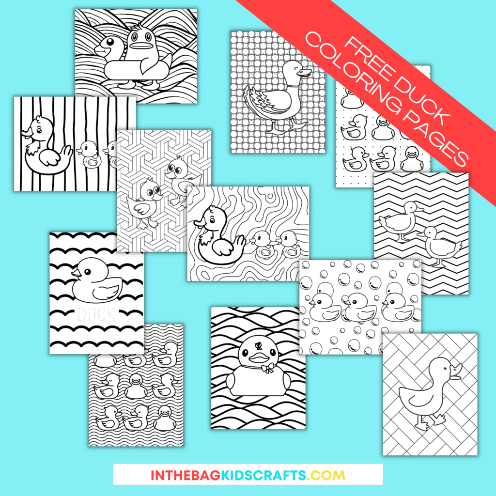 duck coloring pages