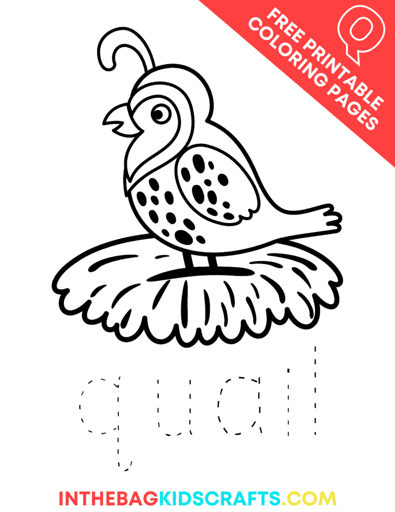 Q is for Quail Alphabet Coloring Pages for Kids 