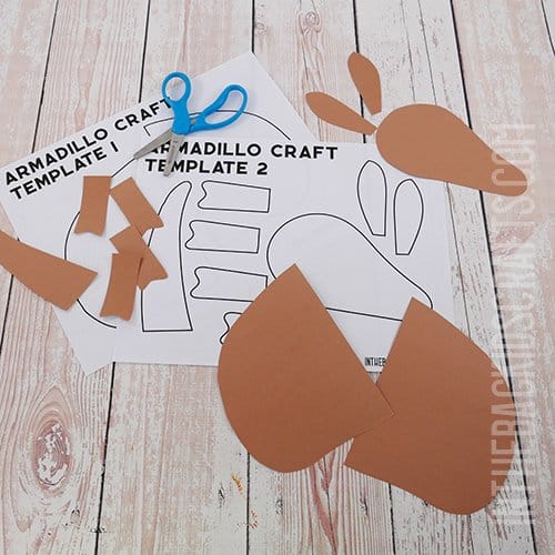 ARMADILLO CRAFT USE THE CRAFT TEMPLATE STEP 2