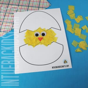 Baby Chick Craft