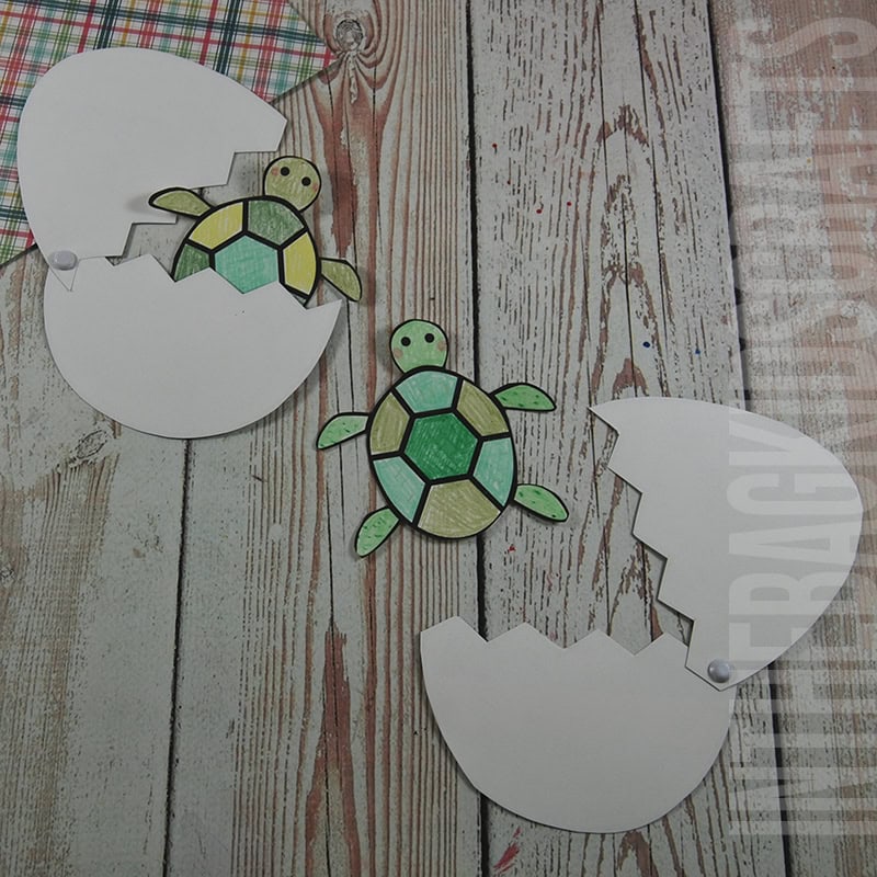 Printable Baby Sea Turtle Craft with Egg the opens
