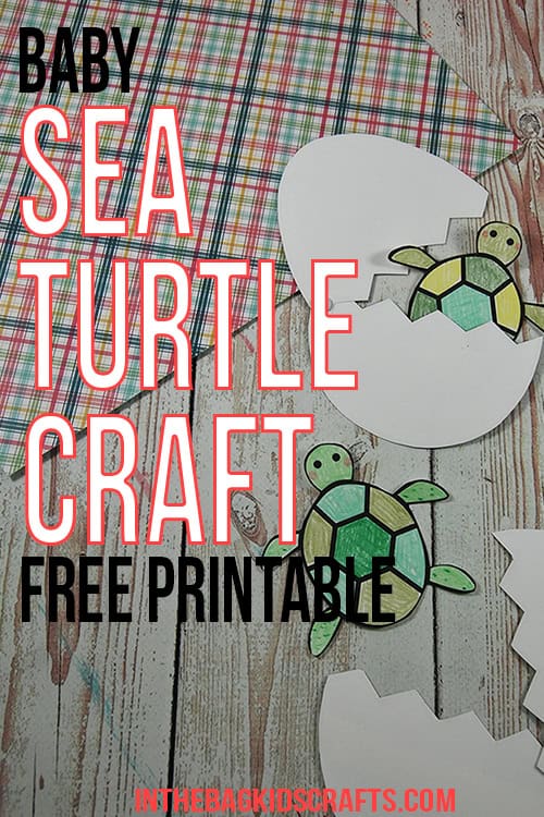 Free Printable Baby Sea Turtle Craft for Kids 