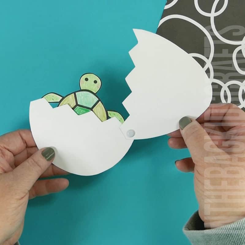 Printable Baby Sea Turtle Craft with Egg the opens