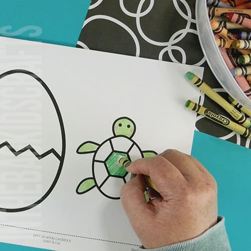 Baby sea turtle craft printable step 1