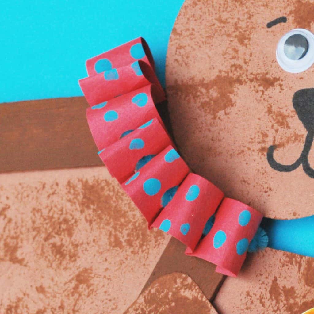 circus bear collar