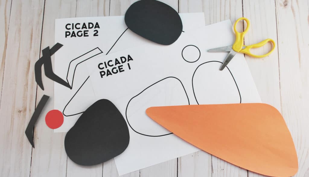 CICADA CRAFT STEP 2