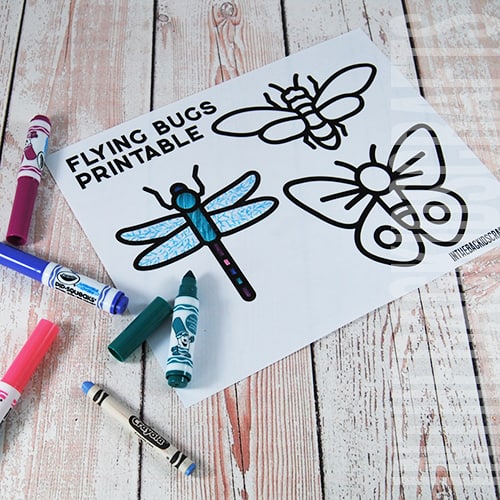 Dragonfly Craft Step 1
