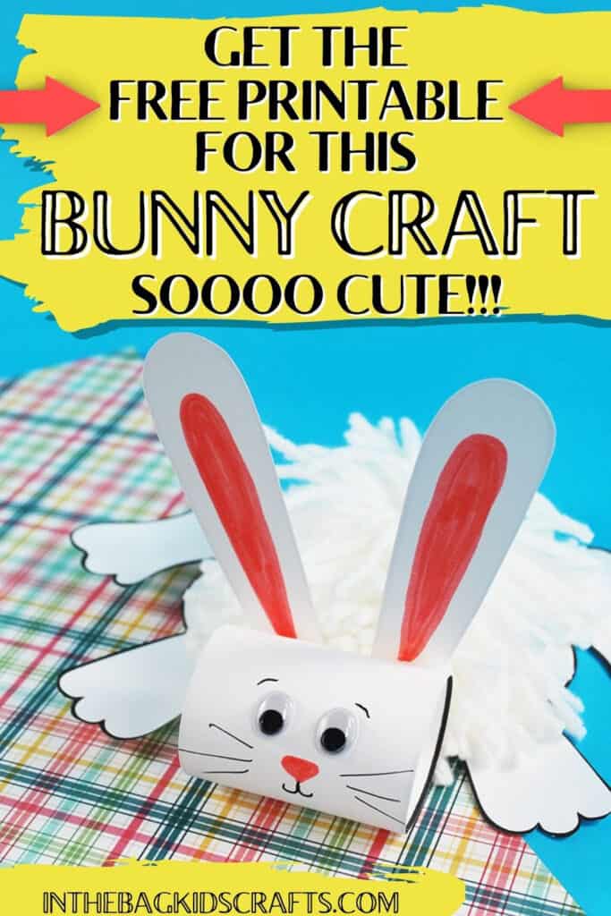 Fluffy Rabbit Craft