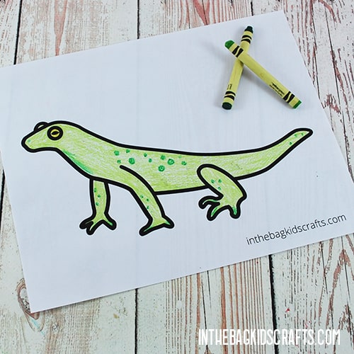 IGUANA CRAFT STEP 2