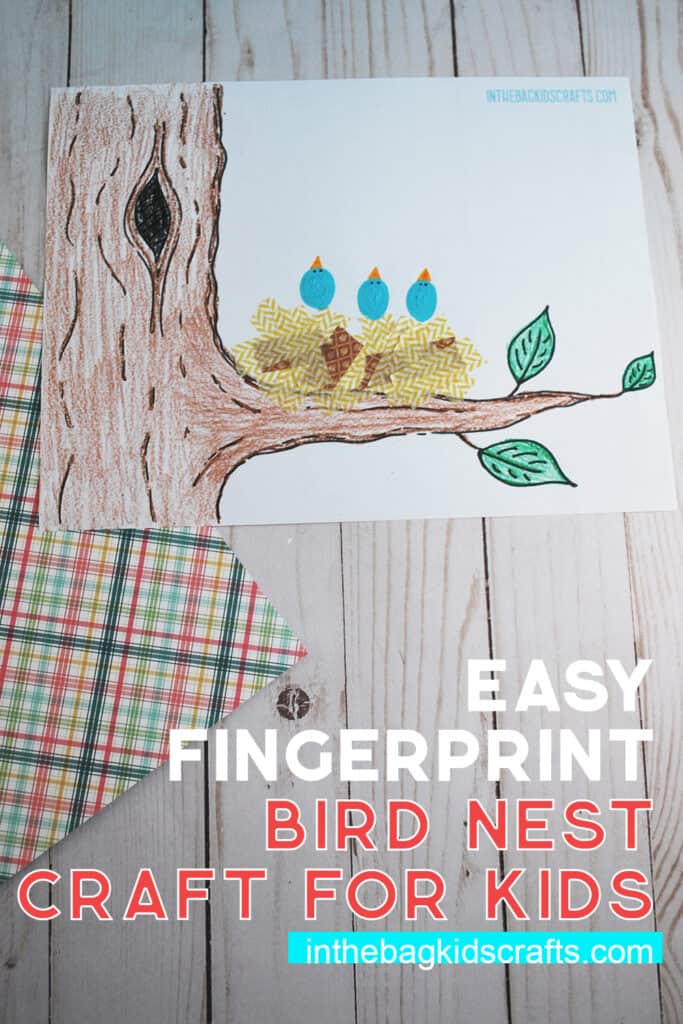 BIRD NEST CRAFT FOR PRESCHOOLERS 
