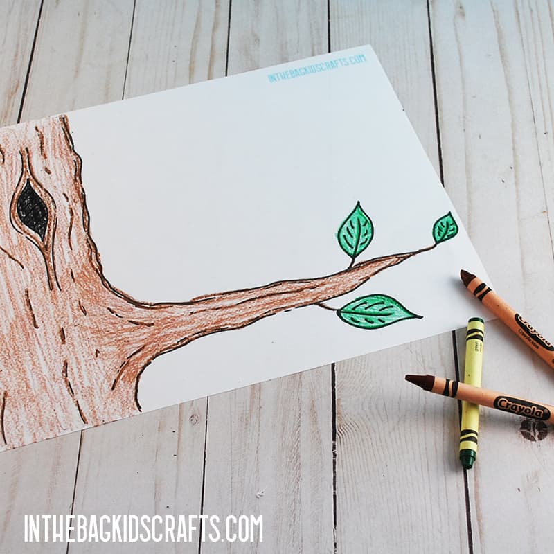 BIRD NEST CRAFT FOR PRESCHOOLERS STEP 1