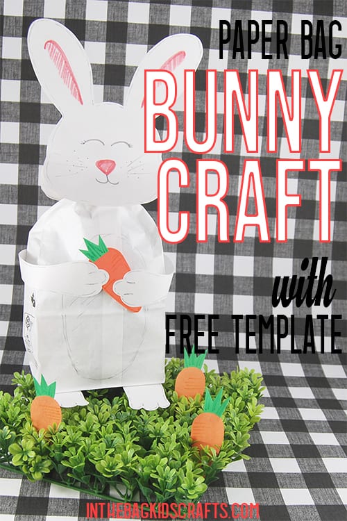Bunny Craft 